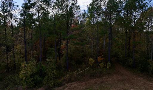 Photo #17 of SOLD property in 1315 NC 43 Hwy, Vanceboro, NC 33.2 acres