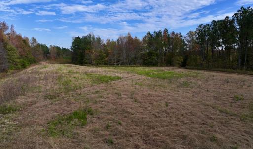 Photo #18 of SOLD property in 1315 NC 43 Hwy, Vanceboro, NC 33.2 acres