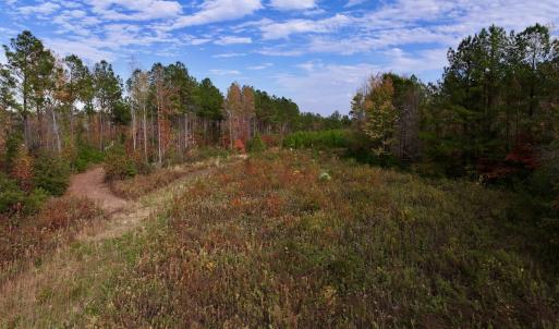 Photo #19 of SOLD property in 1315 NC 43 Hwy, Vanceboro, NC 33.2 acres