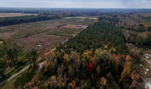 Photo #5 of SOLD property in 1315 NC 43 Hwy, Vanceboro, NC 33.2 acres