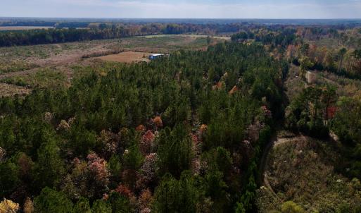 Photo #7 of SOLD property in 1315 NC 43 Hwy, Vanceboro, NC 33.2 acres
