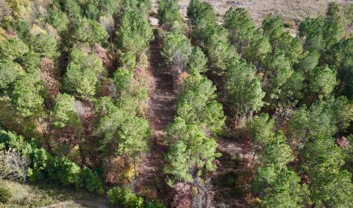 Photo #8 of SOLD property in 1315 NC 43 Hwy, Vanceboro, NC 33.2 acres