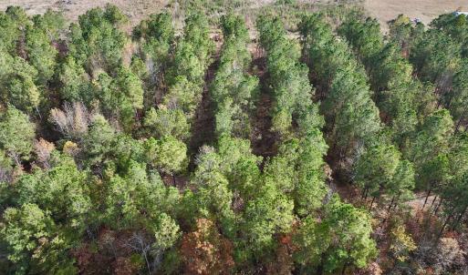 Photo #9 of SOLD property in 1315 NC 43 Hwy, Vanceboro, NC 33.2 acres