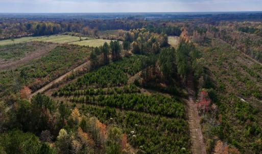 Photo #10 of SOLD property in 1315 NC 43 Hwy, Vanceboro, NC 33.2 acres