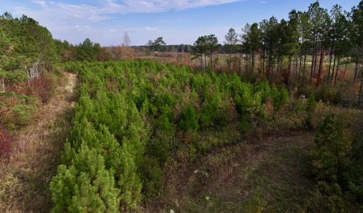 Photo #21 of SOLD property in 1315 NC 43 Hwy, Vanceboro, NC 33.2 acres