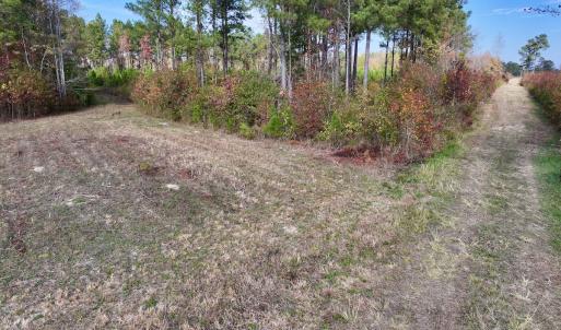 Photo #22 of SOLD property in 1315 NC 43 Hwy, Vanceboro, NC 33.2 acres