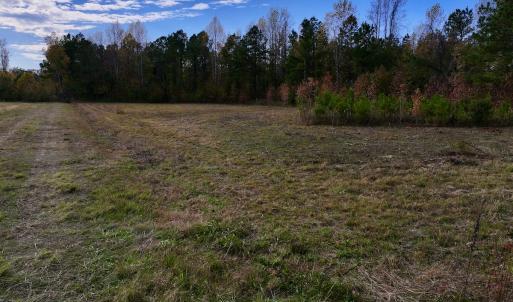 Photo #23 of SOLD property in 1315 NC 43 Hwy, Vanceboro, NC 33.2 acres