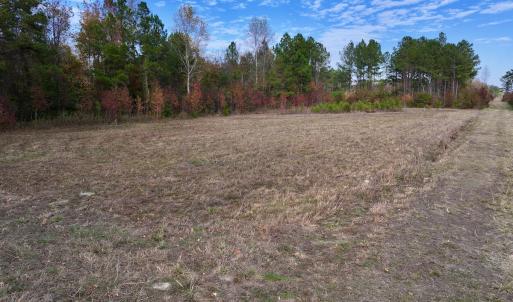 Photo #24 of SOLD property in 1315 NC 43 Hwy, Vanceboro, NC 33.2 acres