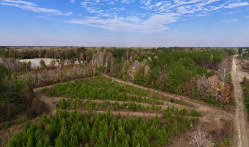 Photo #25 of SOLD property in 1315 NC 43 Hwy, Vanceboro, NC 33.2 acres