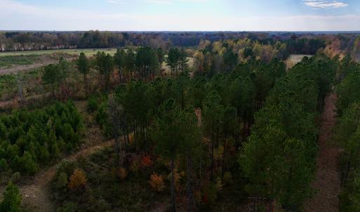 Photo #26 of SOLD property in 1315 NC 43 Hwy, Vanceboro, NC 33.2 acres