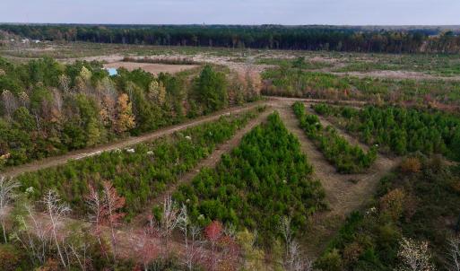 Photo #27 of SOLD property in 1315 NC 43 Hwy, Vanceboro, NC 33.2 acres