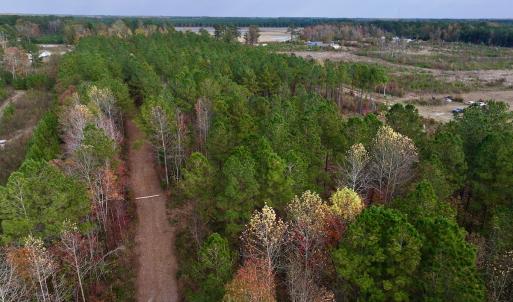 Photo #28 of SOLD property in 1315 NC 43 Hwy, Vanceboro, NC 33.2 acres