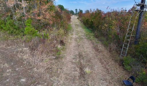 Photo #29 of SOLD property in 1315 NC 43 Hwy, Vanceboro, NC 33.2 acres