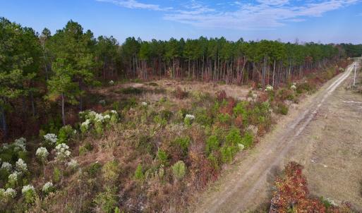 Photo #31 of SOLD property in 1315 NC 43 Hwy, Vanceboro, NC 33.2 acres