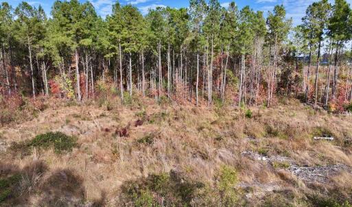 Photo #33 of SOLD property in 1315 NC 43 Hwy, Vanceboro, NC 33.2 acres