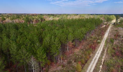 Photo #34 of SOLD property in 1315 NC 43 Hwy, Vanceboro, NC 33.2 acres