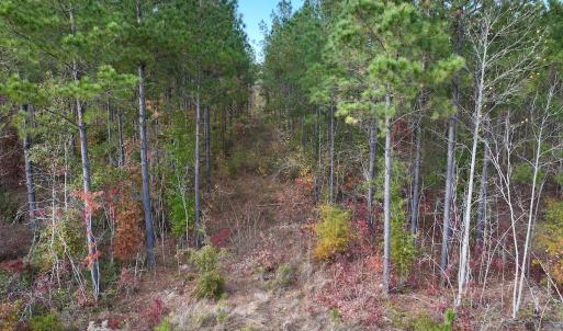 Photo #35 of SOLD property in 1315 NC 43 Hwy, Vanceboro, NC 33.2 acres
