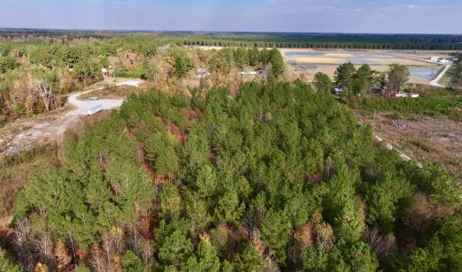 Photo #36 of SOLD property in 1315 NC 43 Hwy, Vanceboro, NC 33.2 acres