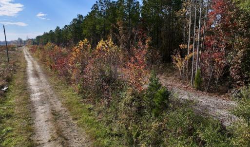 Photo #37 of SOLD property in 1315 NC 43 Hwy, Vanceboro, NC 33.2 acres