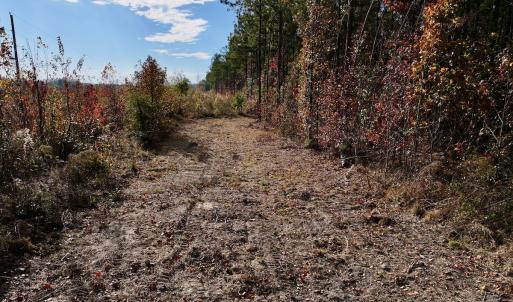 Photo #38 of SOLD property in 1315 NC 43 Hwy, Vanceboro, NC 33.2 acres