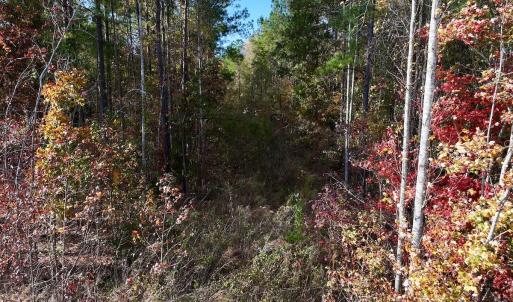 Photo #39 of SOLD property in 1315 NC 43 Hwy, Vanceboro, NC 33.2 acres