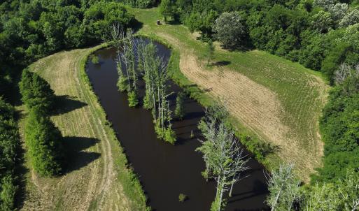 Photo #25 of 6267 River Road, White Oak, NC 30.0 acres