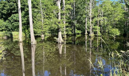 Photo #26 of 6267 River Road, White Oak, NC 30.0 acres