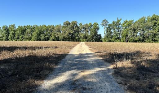 Photo #29 of 6267 River Road, White Oak, NC 30.0 acres