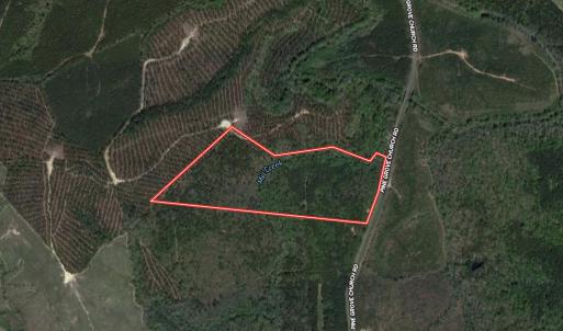 Photo #1 of Off Pine Grove Church Road, Eagle Springs, NC 36.7 acres