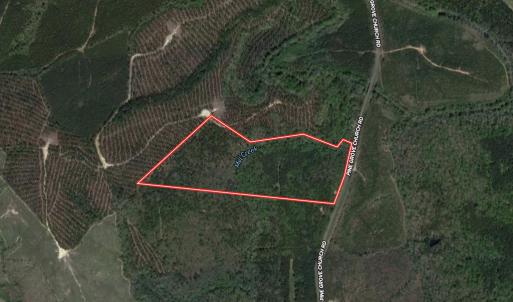 Photo #1 of SOLD property in Off Pine Grove Church Road, Eagle Springs, NC 36.7 acres