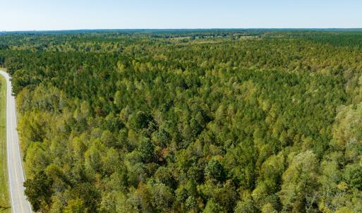 Photo #14 of SOLD property in Off Pine Grove Church Road, Eagle Springs, NC 36.7 acres