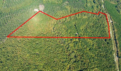 Photo #2 of SOLD property in Off Pine Grove Church Road, Eagle Springs, NC 36.7 acres