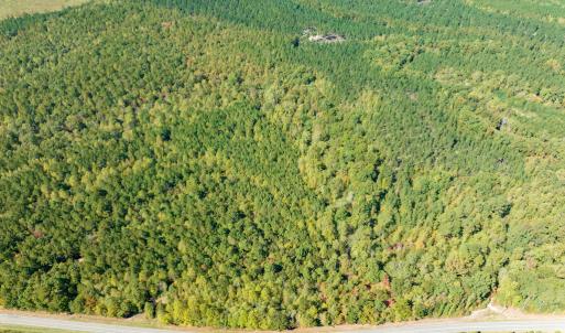 Photo #4 of SOLD property in Off Pine Grove Church Road, Eagle Springs, NC 36.7 acres