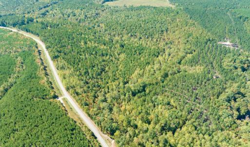 Photo #5 of SOLD property in Off Pine Grove Church Road, Eagle Springs, NC 36.7 acres