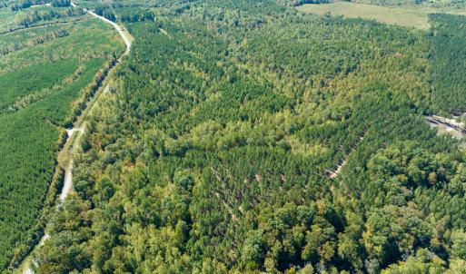 Photo #6 of SOLD property in Off Pine Grove Church Road, Eagle Springs, NC 36.7 acres