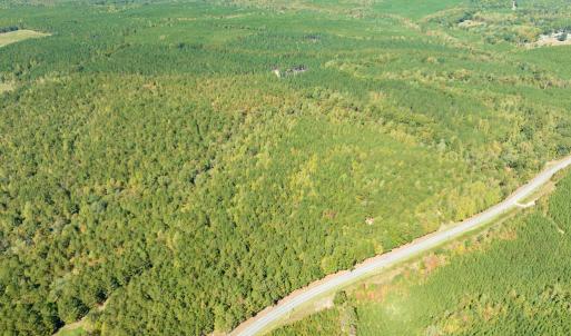 Photo #9 of SOLD property in Off Pine Grove Church Road, Eagle Springs, NC 36.7 acres