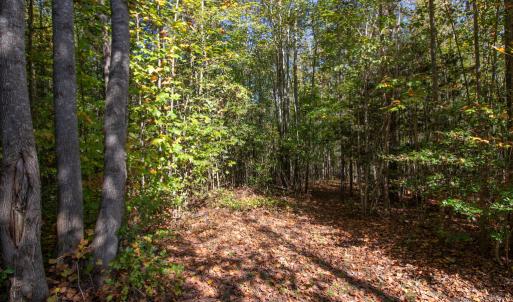 Photo #22 of Off Pine Grove Church Road, Eagle Springs, NC 36.7 acres