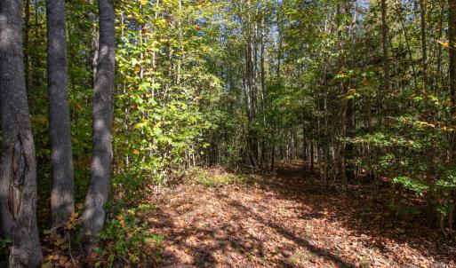Photo #22 of SOLD property in Off Pine Grove Church Road, Eagle Springs, NC 36.7 acres