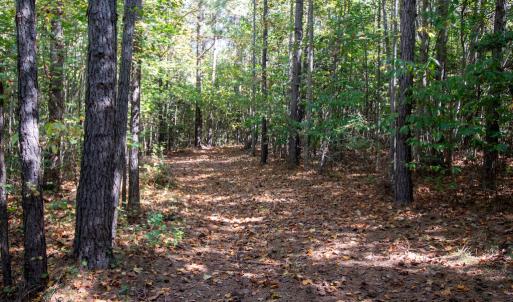 Photo #24 of SOLD property in Off Pine Grove Church Road, Eagle Springs, NC 36.7 acres