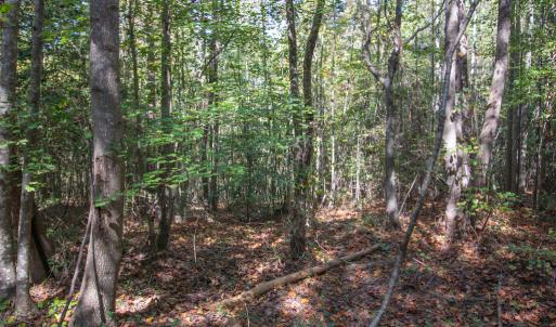 Photo #25 of Off Pine Grove Church Road, Eagle Springs, NC 36.7 acres