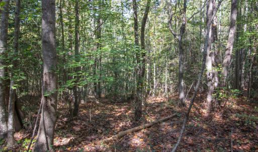 Photo #25 of SOLD property in Off Pine Grove Church Road, Eagle Springs, NC 36.7 acres