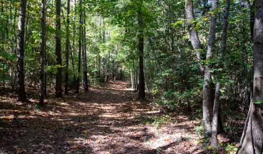 Photo #26 of SOLD property in Off Pine Grove Church Road, Eagle Springs, NC 36.7 acres
