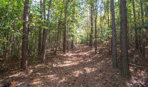 Photo #27 of Off Pine Grove Church Road, Eagle Springs, NC 36.7 acres