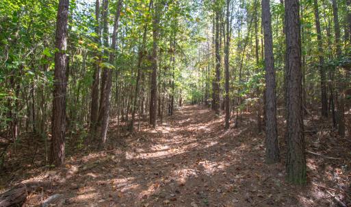 Photo #27 of SOLD property in Off Pine Grove Church Road, Eagle Springs, NC 36.7 acres