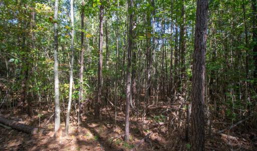 Photo #28 of SOLD property in Off Pine Grove Church Road, Eagle Springs, NC 36.7 acres