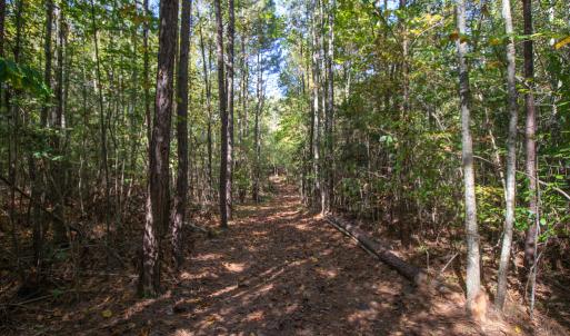 Photo #29 of SOLD property in Off Pine Grove Church Road, Eagle Springs, NC 36.7 acres