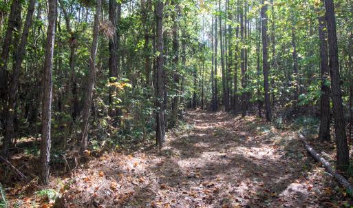 Photo #30 of SOLD property in Off Pine Grove Church Road, Eagle Springs, NC 36.7 acres