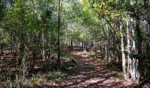 Photo #32 of SOLD property in Off Pine Grove Church Road, Eagle Springs, NC 36.7 acres