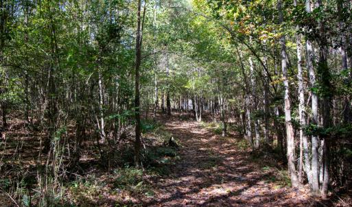 Photo #32 of Off Pine Grove Church Road, Eagle Springs, NC 36.7 acres