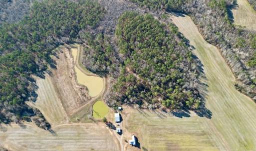 Photo #13 of 1416 NC 45 S., Windsor, NC 148.0 acres
